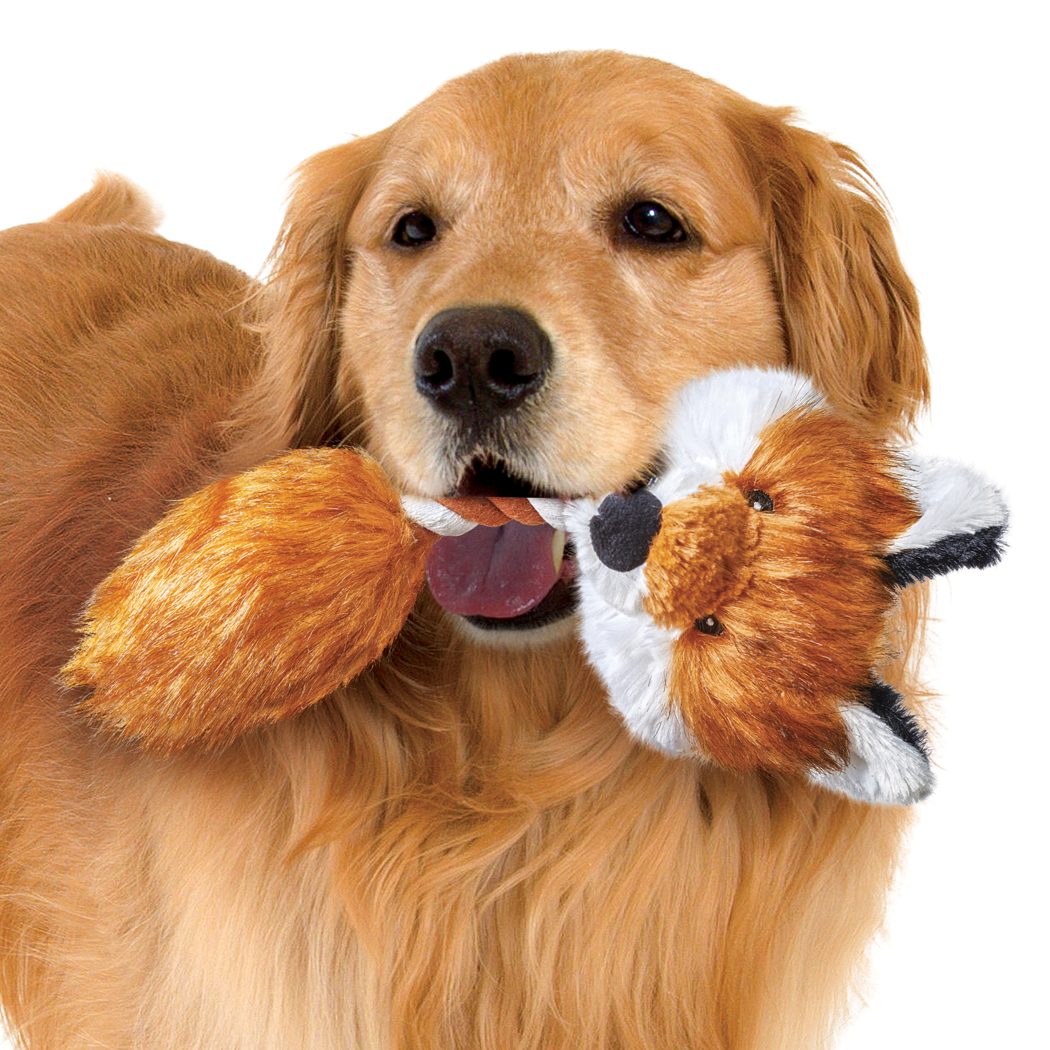 fox dog toy walmart