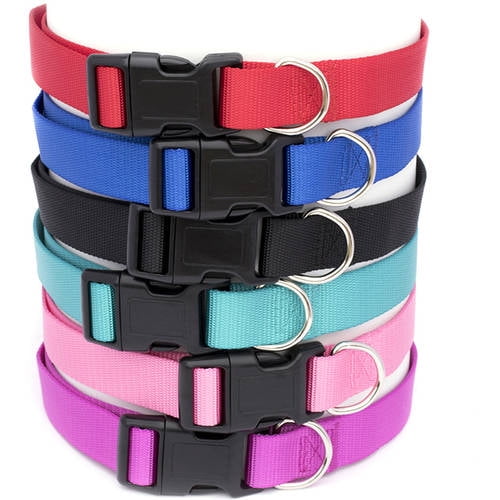 Pet Champion Classic Dog Collar