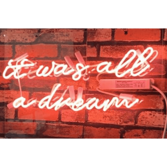 Queen Sense 20" It Was All A Dream Pink Neon Sign Acrylic Man Cave Handmade Neon Light 120IDPV5A