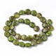 thumbnail image 2 of Natural Imperial Jasper Beads Strands Dyed Flat Round Lime Green 12x6mm Hole: 1.2mm about 32~34pcs/Strand 15.35 inch~15.94 inch(39~40.5cm)., 2 of 2