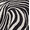 Black-Striped, variant on Plus Size Pajamas: Syphorium Womens Plus Size Pajamas, Short Sleeve Sleepwear Top with Capri Pants Prints 2 Piece Pjs Loungewear