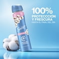 thumbnail image 2 of Antitranspirante Spray Secret Cotton 150 ml, 2 of 6