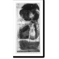thumbnail image 2 of Historic Framed Print, Dream of walking a thin line, 17-7/8" x 21-7/8", 2 of 9