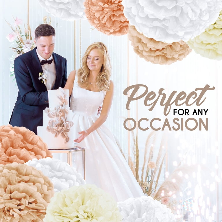 EpiqueOne 20-Piece Paper Pom Poms Party Kit – Tissue Pom Pom  20-Piece Tissue Paper Pom Poms Party Kit - Add a Splash to Your Celebrations main image 0