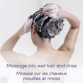 thumbnail image 2 of Dove Daily Moisture Shampoo, 2 of 8