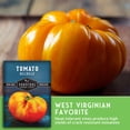 thumbnail image 7 of 5 Packs Hillbilly Tomato Seeds - Non-GMO Heirloom Full Sun Annual Vegetable, 7 of 7