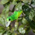 thumbnail image 2 of Bgsha 5cm 4g Grasshopper Insect Fishing Lures Artificial Bait Sea Fishing fish hook, 2 of 8