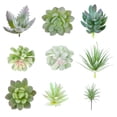 thumbnail image 4 of Succulent Plant DIY Simulation Mini Plastic Mini Plastic Plant; Artificial Artificial Plant Flower for Garden Home Decor Random Color Style, 16Pcs, 4 of 7