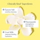 thumbnail image 3 of Crema hidratante Beekman 1802 Bloom Cream de leche de cabra, 100 ml, 3 of 8