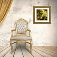 thumbnail image 3 of Hausenflock, Alan 12x12 Gold Ornate Wood Framed with Double Matting Museum Art Print Titled - New April Garden II, 3 of 4