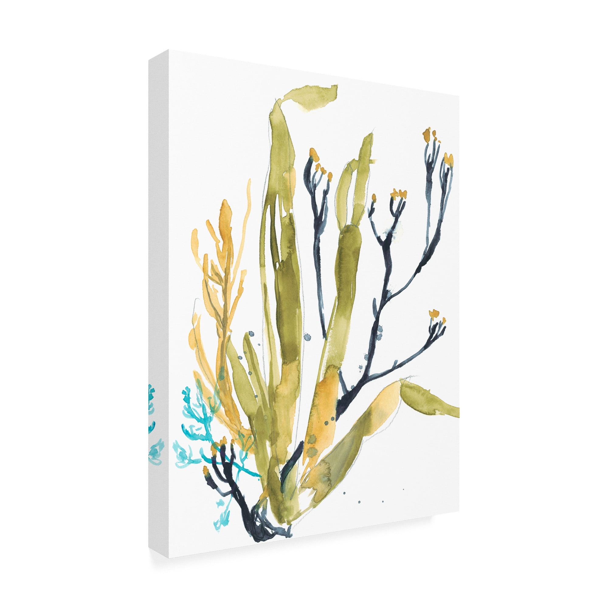 Trademark Fine Art 'Reef Illusion II' Canvas Art by Jennifer Goldberger