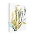 thumbnail image 2 of Trademark Fine Art 'Reef Illusion II' Canvas Art by Jennifer Goldberger, 2 of 4