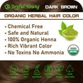 thumbnail image 6 of 100% Organic Henna Hair Color – Natural, Chemical-Free Hair Dye for Rich, Vibrant Color & Gloss – Grey Coverage, Safe for All Hair Types, Vegan Non-Toxic, Herbal Hair Treatment (DARK BROWN), 6 of 7