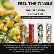 Xero Picks Candies Desserts Edition - Variety Pack - Infused Flavored Toothpicks - 80 Picks - 4 Pack