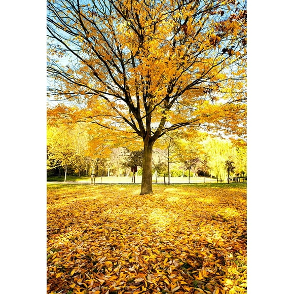 BSDHOME Polyester Yellow Autumn Backdrop Tree Background Garden Backdrops Photography Nature 5x7ft
