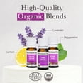 thumbnail image 2 of Pranarom - Unplug Wellness Essential Oil Kit (3-Pack of 5ml) - Digital Detox, Down Time, and Find & Focus Essential Oils - 100% Pure Essential Oil | USDA and ECOCERT Certified Organic, 2 of 4