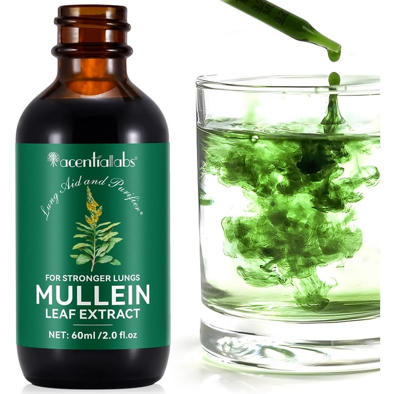 Mullein Leaf Liquid Drops With Chlorophyll 60ml Mullein Leaf Drops with  Premium Mullein Leaf Extract - Walmart.com