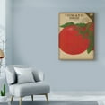thumbnail image 3 of Trademark Fine Art 'Heirloom Variety V' Canvas Art by Jarman Fagalde, 3 of 4