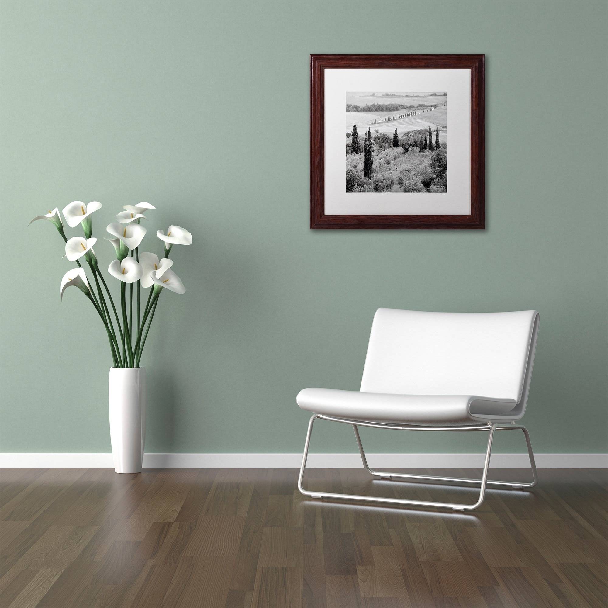 Trademark Fine Art "Tuscany X" Canvas Art by Alan Blaustein, White Matte, Wood Frame
