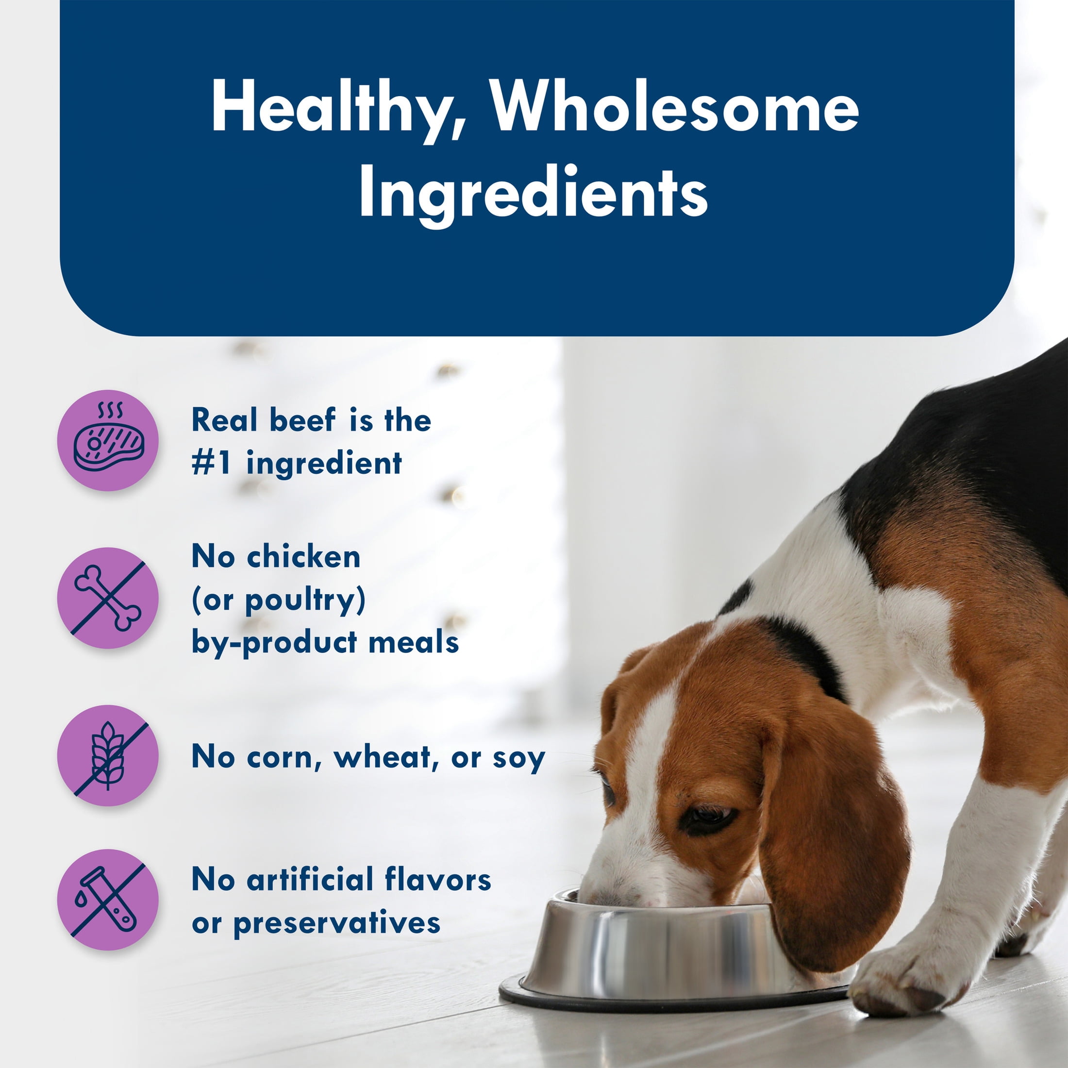 (4 pack) Blue Buffalo Delights Small Breed Natural Wet Dog Food, Top Sirloin Paté, 3.5-oz. Cup