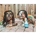 thumbnail image 4 of Juguete para perros Nestpark Doggy Doobie Plush Squeaky para todos los tamaños, 4 of 9