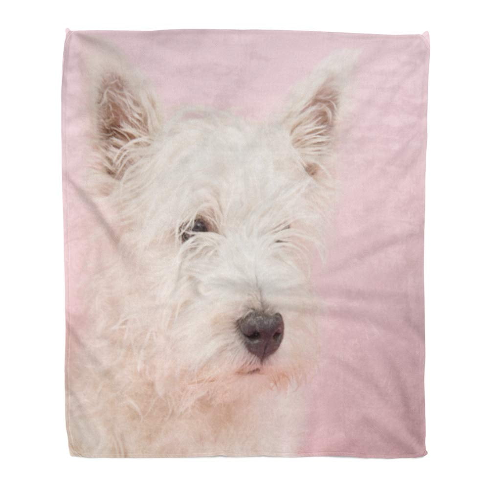 Cozy print dog blankets powenlogin