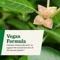 thumbnail image 6 of Floradix Ashwagandha Liquid Herbal & Vitamin Formula - Herbal Supplement with Ashwagandha Extract, Vitamin C, B12 & More - For Stress Support - Gentle to Digest - Vegan & Non-GMO - 8.5 fl oz, 6 of 7