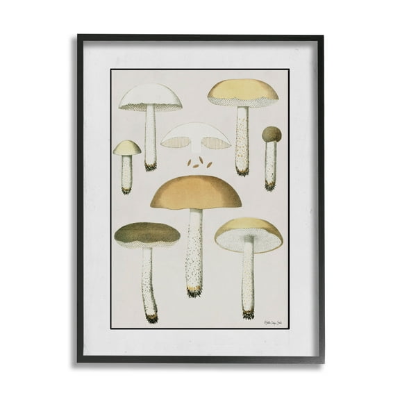 Various Mushrooms Forest Plant Botanical & Floral Graphic Art Black Framed Art Print Wall Art