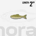 thumbnail image 5 of 6th Sense Panorama 2.0 Soft Swimbait – Bass & Crappie Fishing Lure | Ultra-Realistic Finesse Forage Imitator for Hover Rigs, Drop Shots, and Panfish (4K Shad), 5 of 5