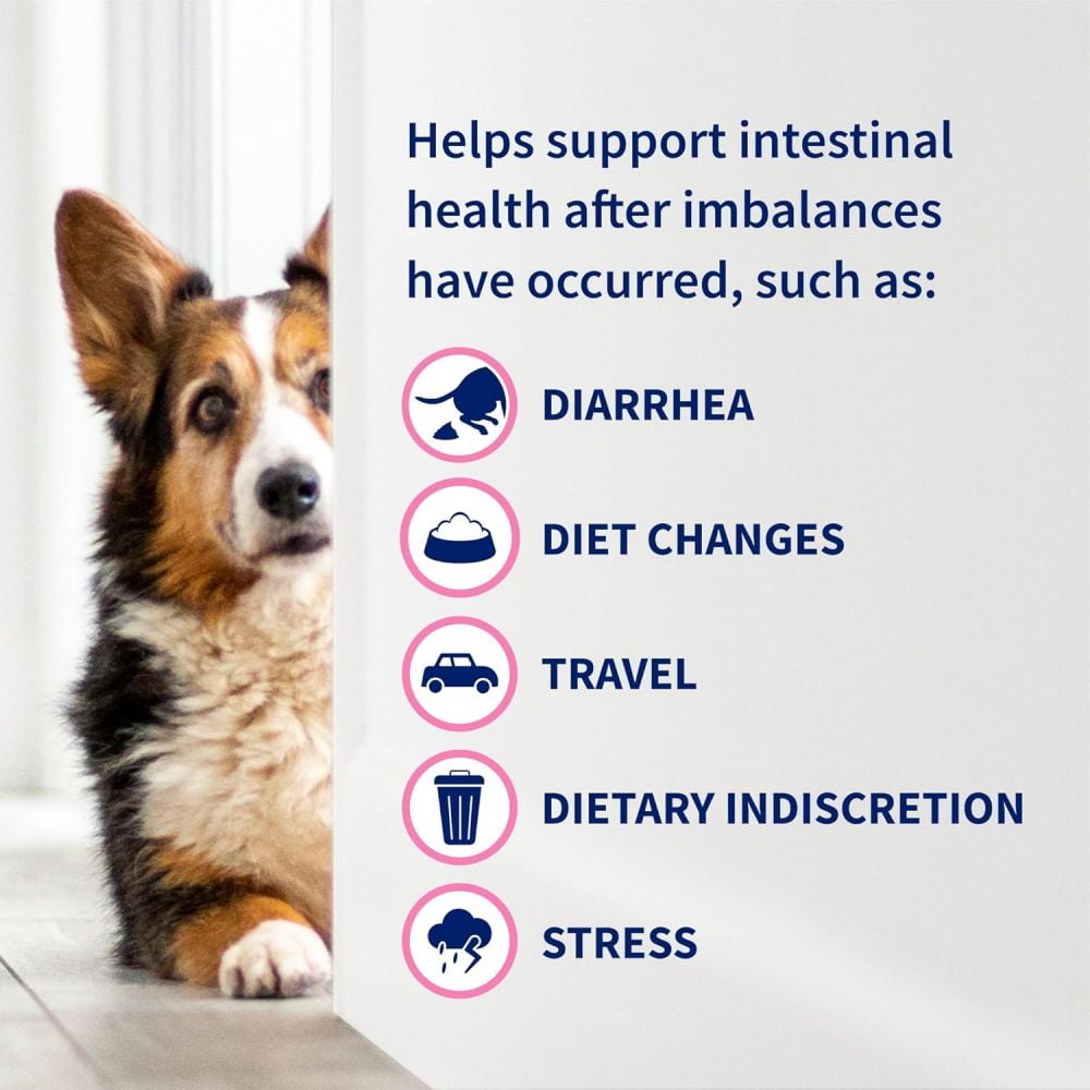 Nutramax Proviable Probiotics for Small Dogs and Cats, Diarrhea Support Kit, Digestive Health Supplement with Multiple Strains of Bacteria, Plus Prebiotics, Kaolin and Pectin, 15 ml Paste and 10 Caps