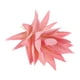 thumbnail image 3 of Uxcell Pequeñas Plantas Suculentas Artificiales Sin Maceta, Picos Suculentos Falsos Rosa, Paquete de 4, 3 of 5