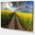 thumbnail image 2 of Sunset over Canola Panorama - Landscape Canvas Art Print, 2 of 4