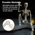 thumbnail image 3 of DUNCHATY 3ft Halloween Skeleton Life Size Realistic Full Body Hanging w/ Movable Joints, 3 of 6