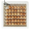 thumbnail image 5 of Farm Innovators Circulated Air Incubator w/ Egg Turner, White (2 Pack), 5 of 9