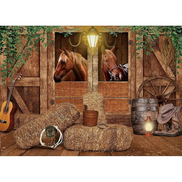 Cowgirl Western Birthday Backdrop Rustic Country Boho Wooden Plank Pink Flower Happy Birthday Baby Shower Wood Hat Retro Decorations Photography Background Banner Photo Booth Studio