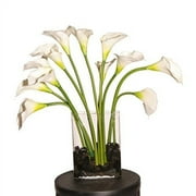 White Callas in Glass Vase