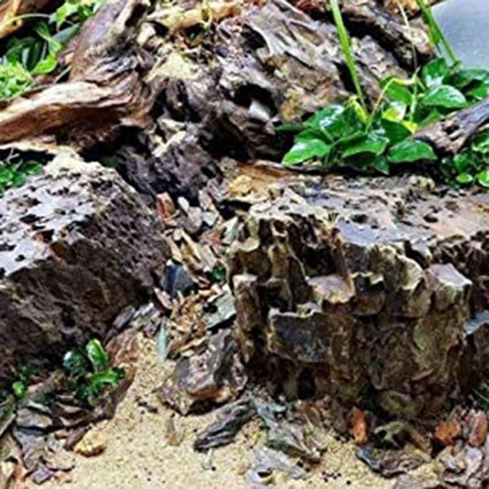 Large Natural Driftwood Branches Reptiles Aquarium Fish Tank Decoration Fish Tank Cave Hideout Wood Decor Driftwood