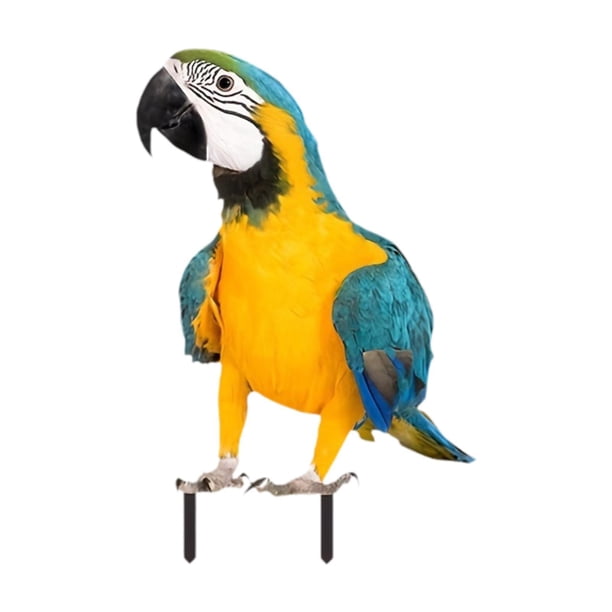 Parrot Estaca Decorativa Acrílica Resistente para Jardín Adorno de Loro Único para Decoración de Césped y Patio Adecuado para Amigos Amantes