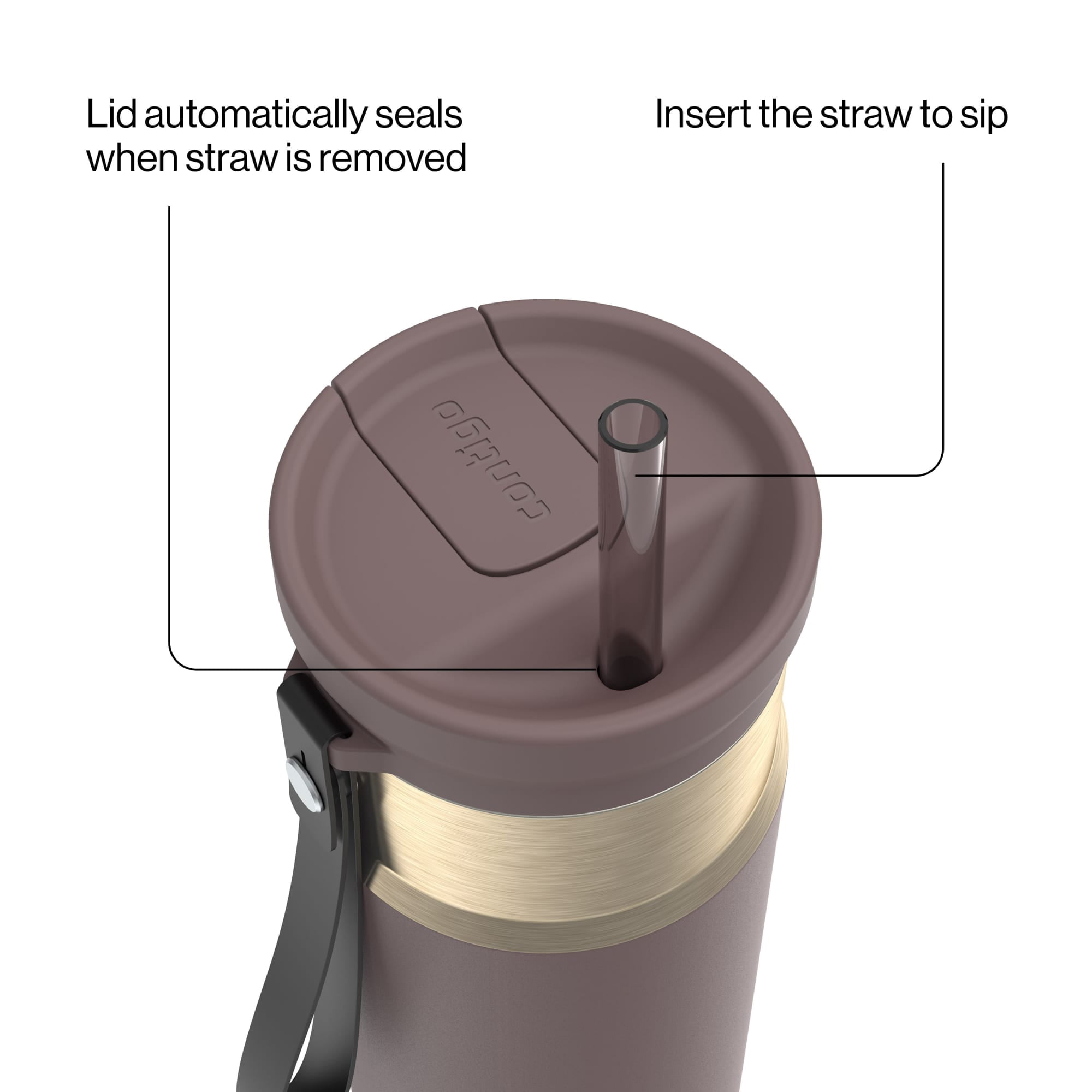 Contigo 24oz SnapSeal Insulated Stainless Steel Water Bottle with Straw, Terra Brown/Champagne