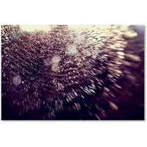 Trademark Fine Art Abstract Canvas Art ' Wishful Thinking ' by Beata Czyzowska Young