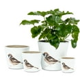 thumbnail image 3 of Wren Planter, 3 of 3