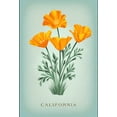 thumbnail image 4 of California, Vintage Flora, State Series, California Poppy (19x27 inches, Premium 500 Piece Jigsaw Puzzle for Adults and Family, Made in USA), 4 of 4