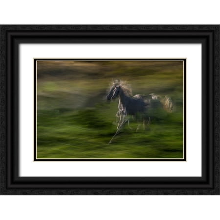 Malovrh, Milan 14x11 Black Ornate Wood Framed with Double Matting Museum Art Print Titled - Galloping