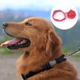 thumbnail image 3 of Juego de collar y correa para perro, collar ajustable de nailon para mascotas, adecuado para perros pequeños y medianos,, 3 of 5