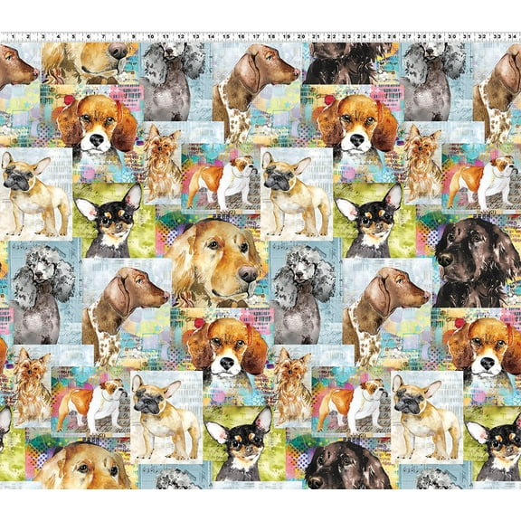 Cotton Best Friends Dogs Puppies Bull Dogs Poodles Beagles Yorkies Chihuahuas Clothworks Multicolor Cotton Fabric Print by the Yard (Y4281-55MULTICOLOR)