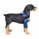 thumbnail image 2 of Suministros para mascotas Rodilleras Protectores de piernas para perros Protector de piernas para perros Cirugía para perros Cubierta protectora para lesiones (Azul S) JM, 2 of 5