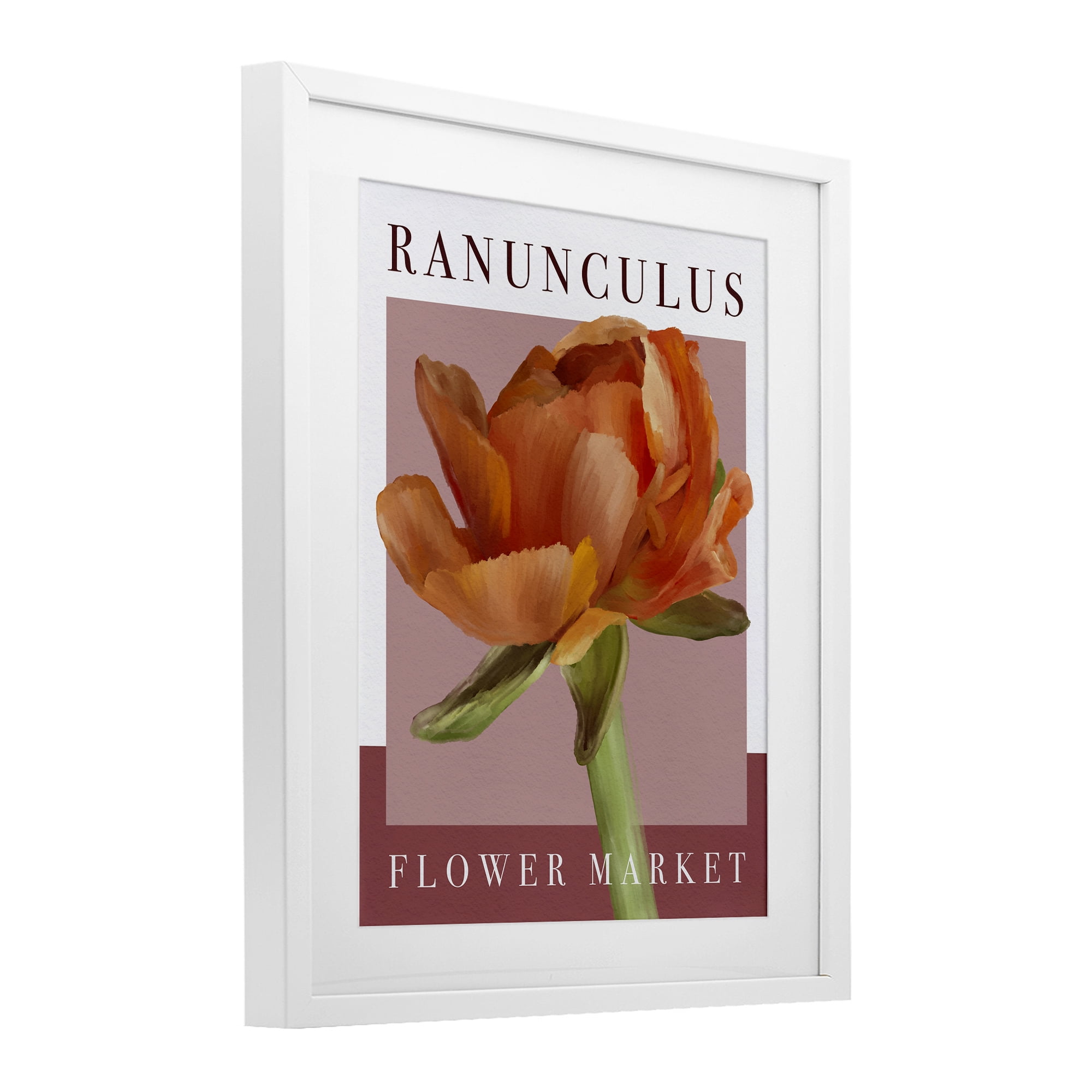 Stupell Industries Ranunculus Flower Market White Framed Print Under Glass, design by Jennifer Stith