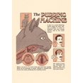 thumbnail image 3 of Cat Funny Fantastic Abstract Cartoon Photo Comic Posters Canvas Painting and Prints Wall Art Picture for Living Room Home Decor, 3 of 5