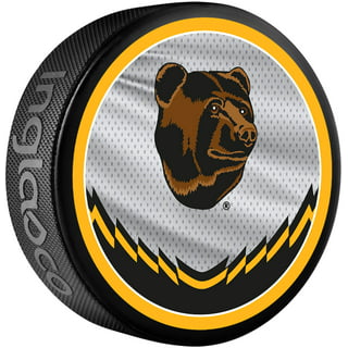 Bobby Orr Boston Bruins Autographed Fanatics Authentic 2022-23 Reverse Retro  Hockey Puck