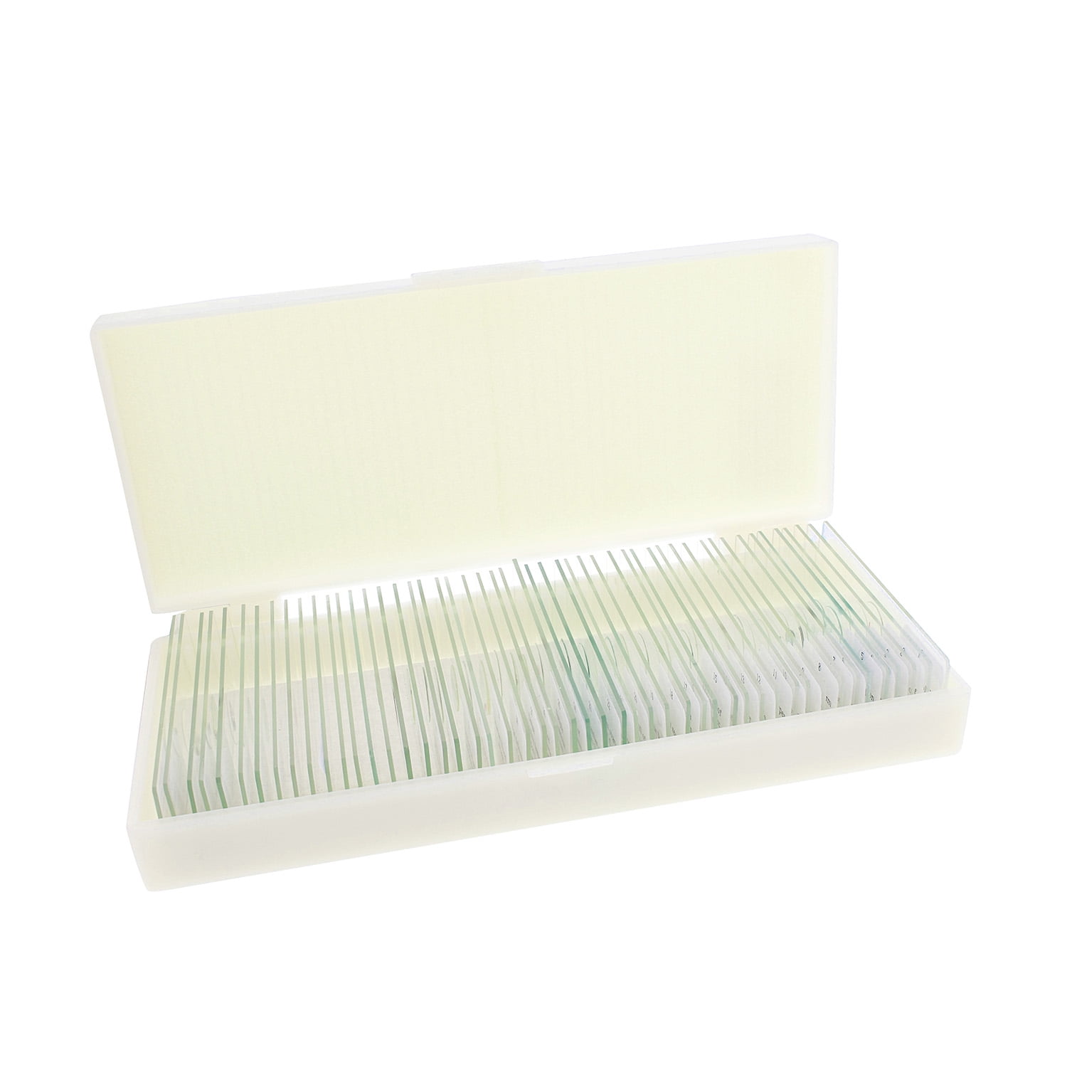 MonMed Prepared Microscope Slides 50 Pc Plant and Animal Microscope